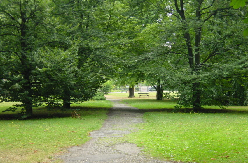  L’Ambiente nello zainetto