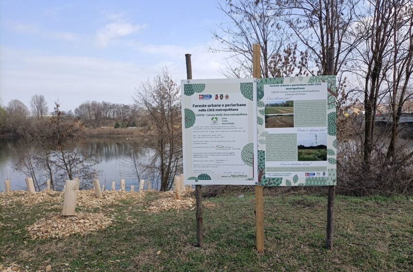  Città metropolitana di Torino: bando forestazione