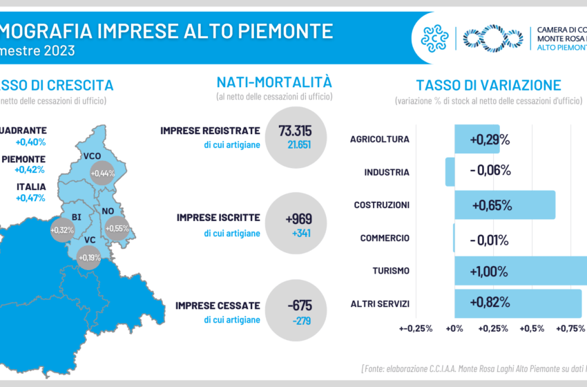  Demografia delle imprese piemontesi