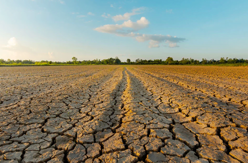  Crisi climatica: conseguenze su agricoltura e allevamento